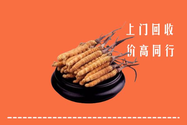 浠水县回收冬虫夏草